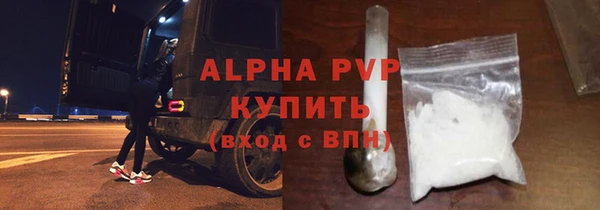 PSILOCYBIN Лысково