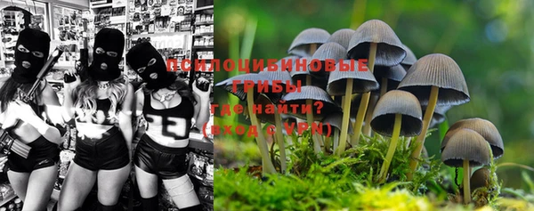 мескалин Нягань