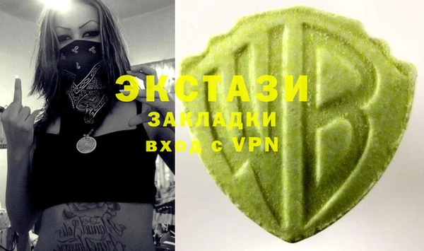 ECSTASY Горняк