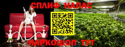 гашиш Аргун