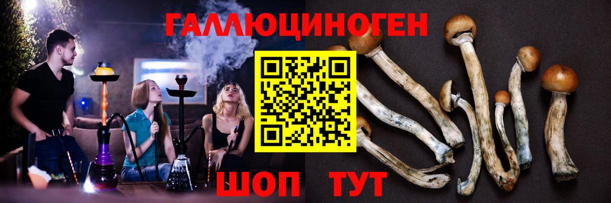 Галлюциногенные грибы мицелий Боровичи