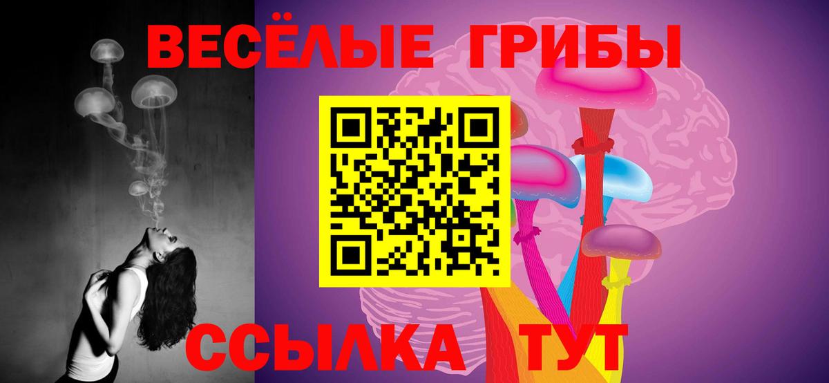Галлюциногенные грибы мухоморы  Вход с VPN  Боровичи 